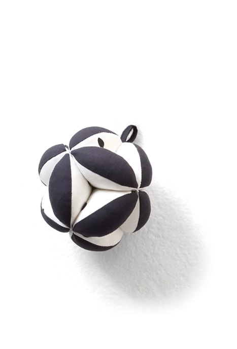 The Play Gym by Lovevery: accessories